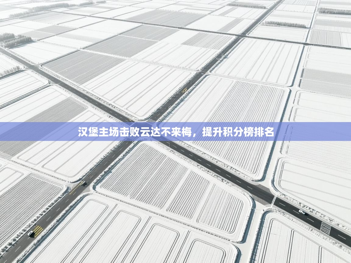 汉堡主场击败云达不来梅，提升积分榜排名  第1张