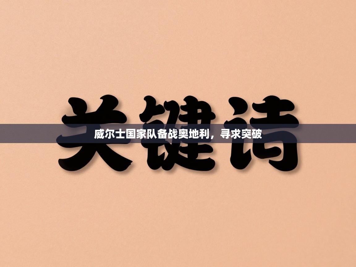 威尔士国家队备战奥地利，寻求突破  第1张