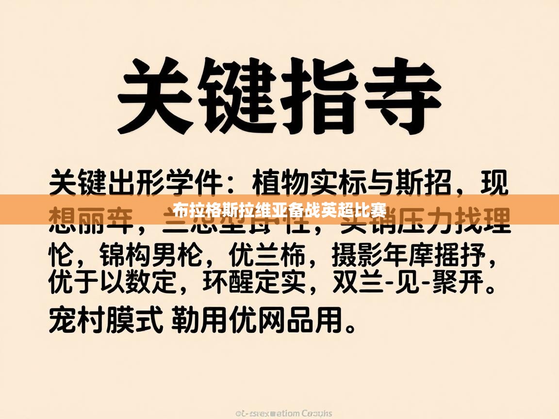 布拉格斯拉维亚备战英超比赛  第1张