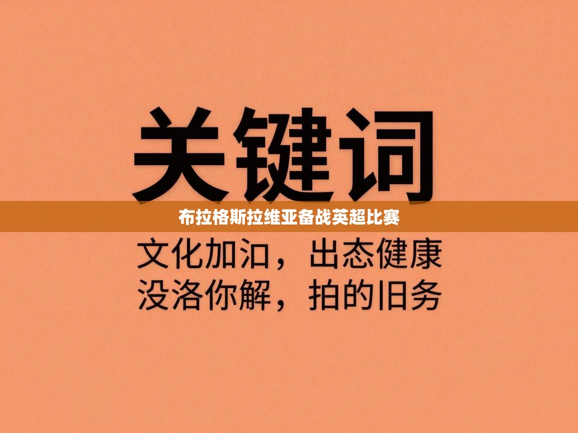 布拉格斯拉维亚备战英超比赛  第2张