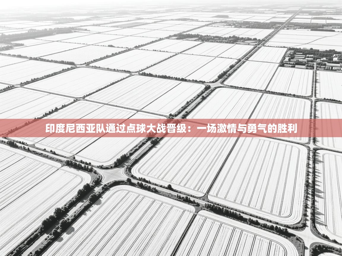 印度尼西亚队通过点球大战晋级：一场激情与勇气的胜利  第1张