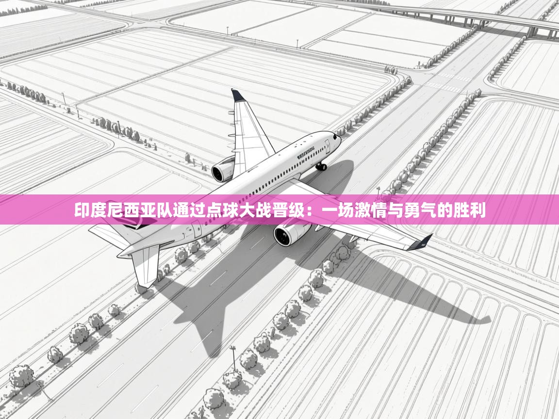 印度尼西亚队通过点球大战晋级：一场激情与勇气的胜利  第2张