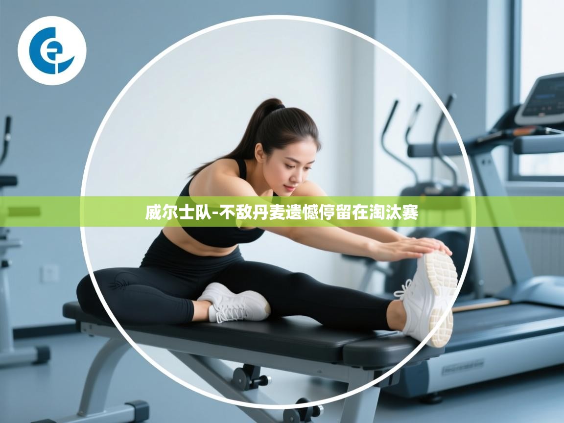 威尔士队-不敌丹麦遗憾停留在淘汰赛 第1张