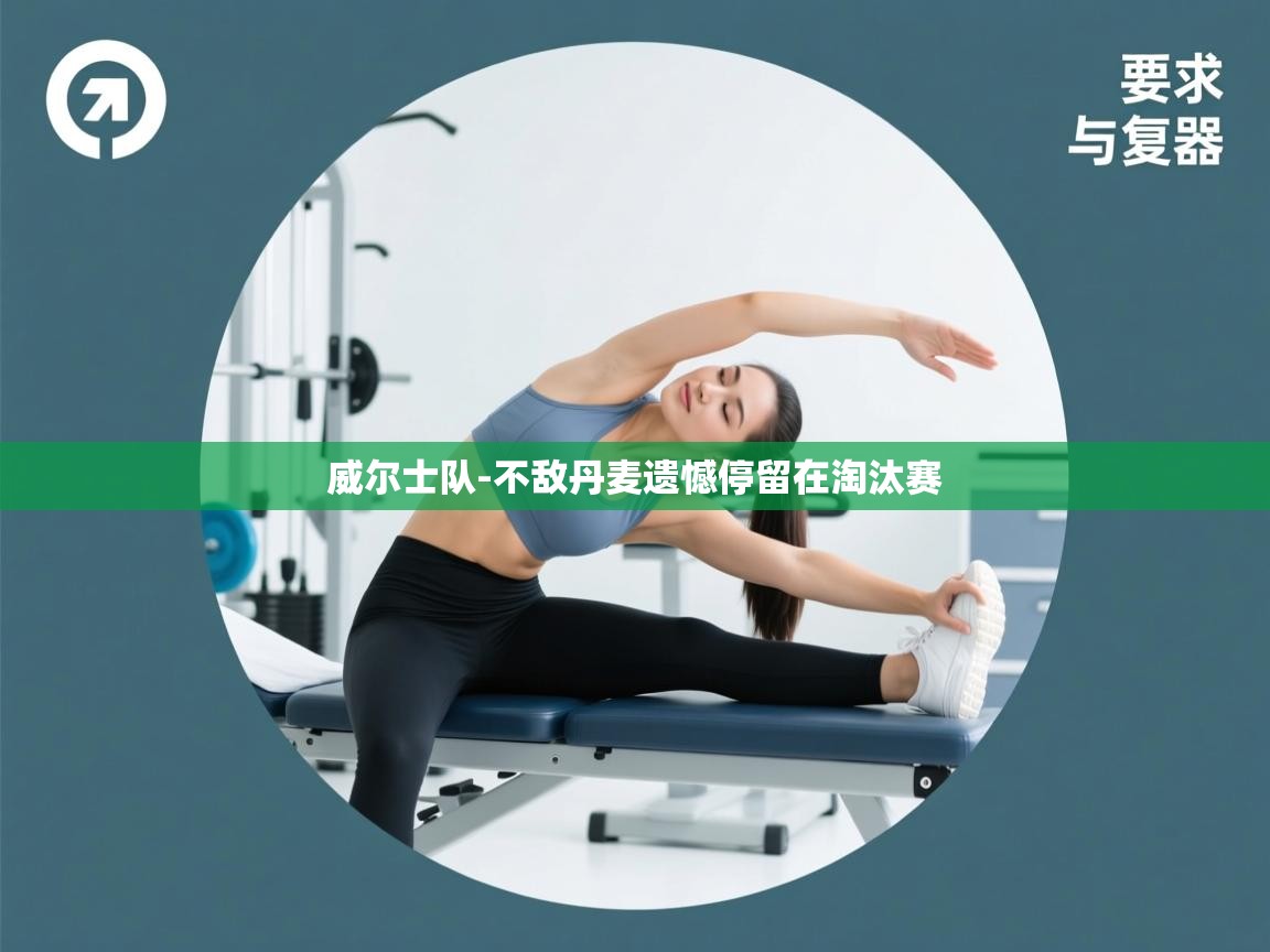 威尔士队-不敌丹麦遗憾停留在淘汰赛 第2张