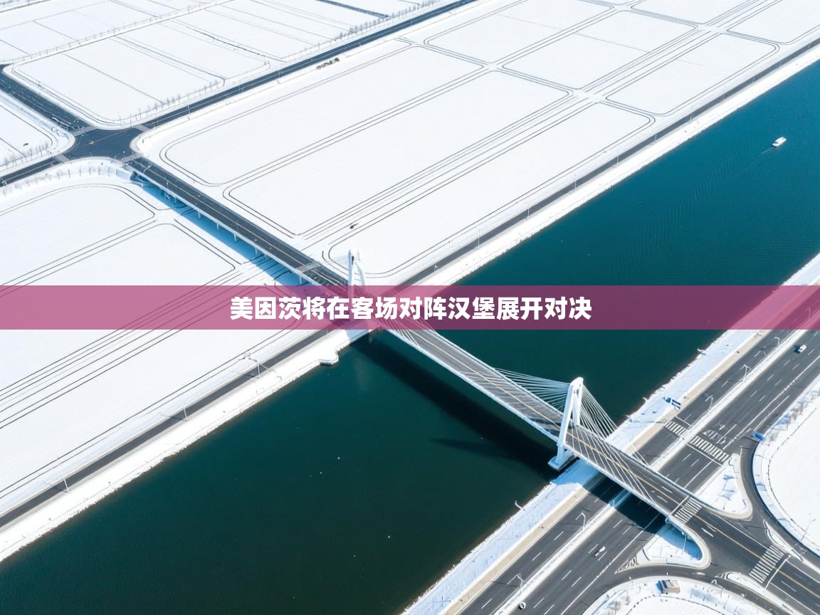 美因茨将在客场对阵汉堡展开对决  第1张