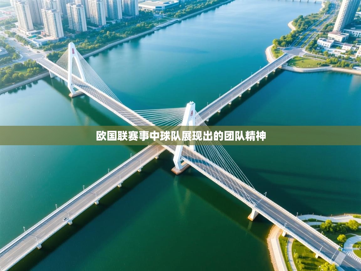 欧国联赛事中球队展现出的团队精神  第2张