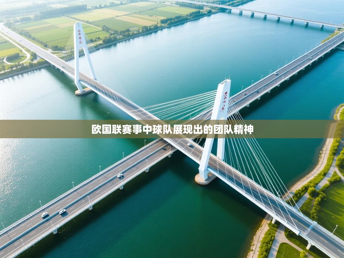 欧国联赛事中球队展现出的团队精神  第1张