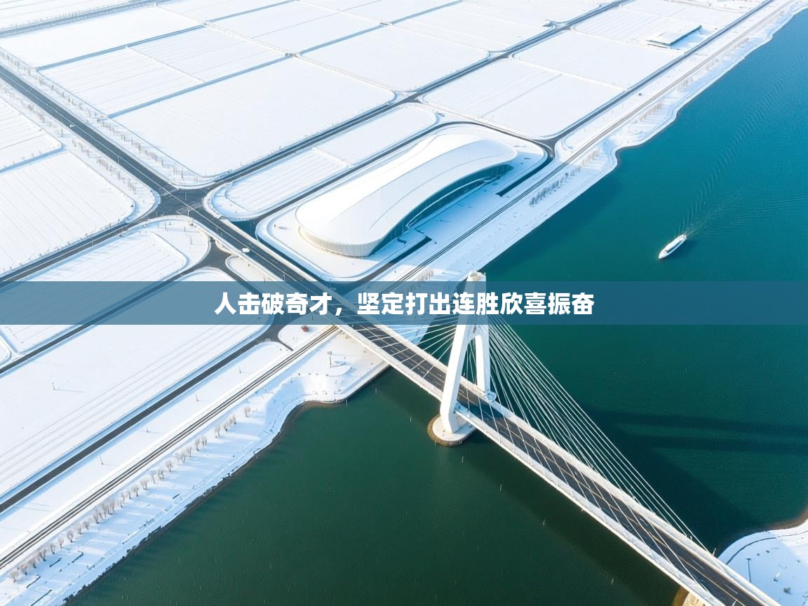 人击破奇才，坚定打出连胜欣喜振奋  第1张